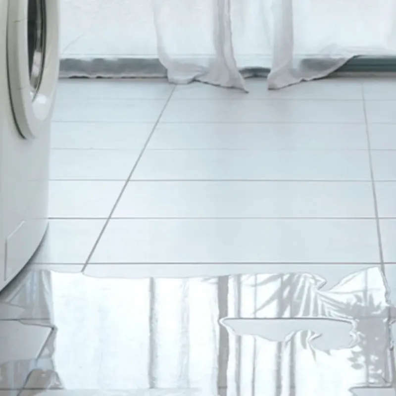 Appliance Leak Cleanup in Worth County, GA