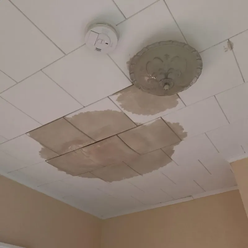 Ceiling Water Damage Repair in Worth County, GA