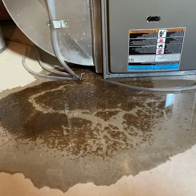 Pipe Burst and Leak Restoration in Worth County, GA