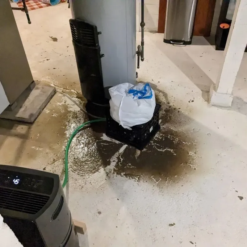 Sewage Backup Cleanup Service in Worth County, GA